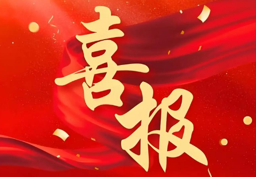 喜讯：我司荣获“2024年度中国标签印刷前50名企业”